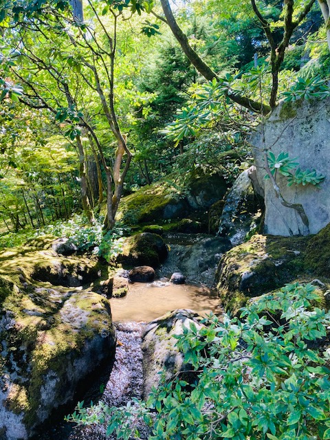 Japanese Garden Seattle
