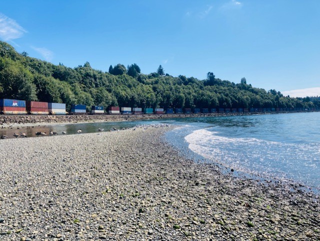 Carkeek Seattle 2024